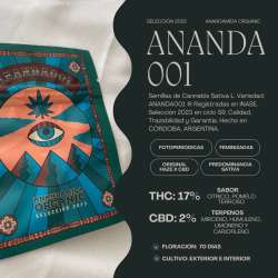 Ananda 001