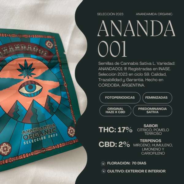 Ananda 001
