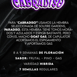 Cabradiso Regular