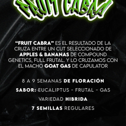 Fruit Cabra Regular