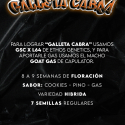 Galleta Cabra Regular