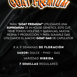 Goat Premium Regular