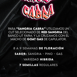 Sangria Cabra Regular