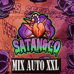 Auto Mix XXL