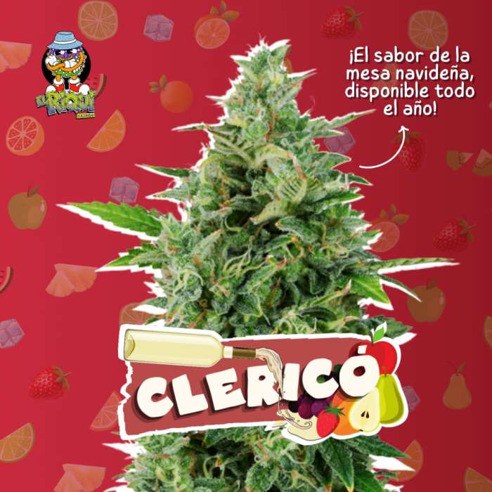 Clericó