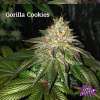 Gorilla Cookies - Image 7
