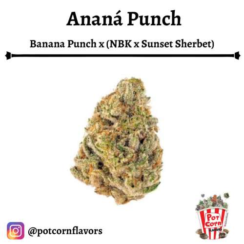 Ananá Punch