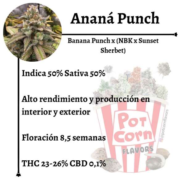 Ananá Punch - Image 2