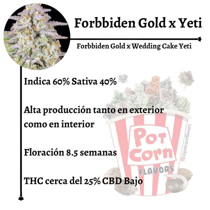 Forbidden Gold YETI - Image 2
