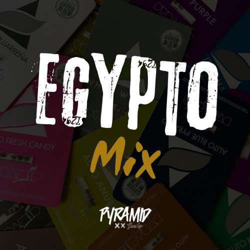 Egypto Mix