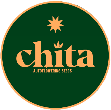 Chita