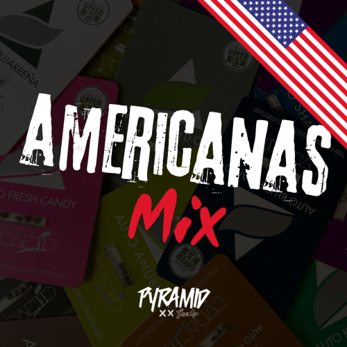 Americanas Mix