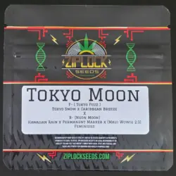Tokyo Moon